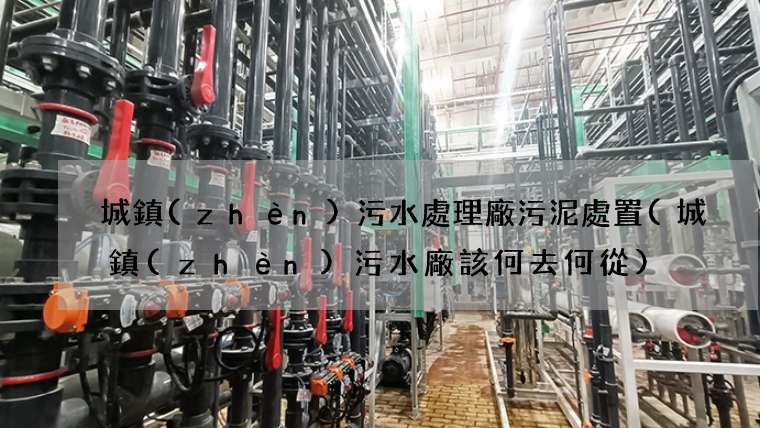 城鎮(zhèn)污水處理廠污泥處置(城鎮(zhèn)污水廠該何去何從)